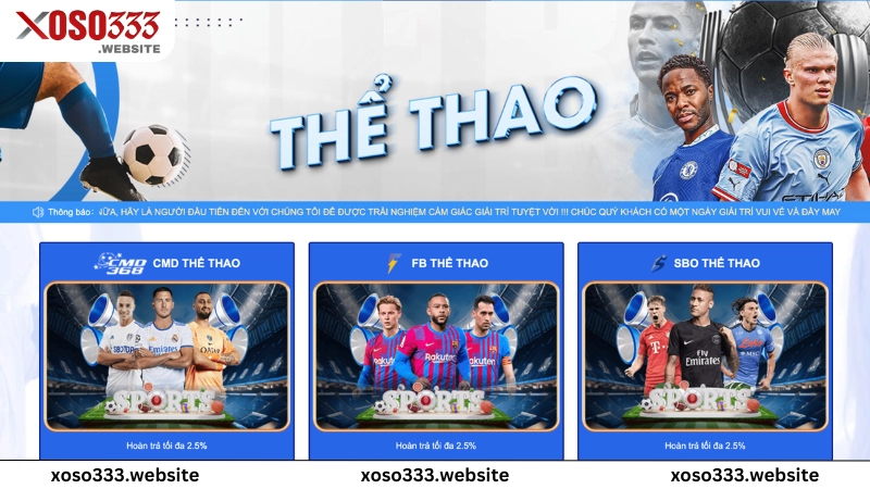 thể thao xoso333